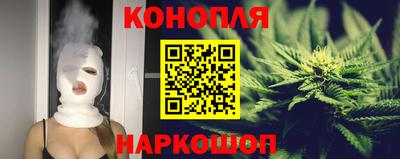 spice Гай